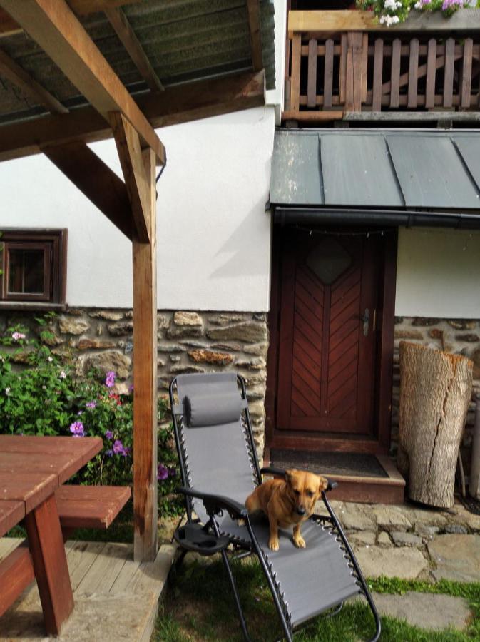 Apartamento Frantiskov 17 Rokytnice nad Jizerou Exterior foto