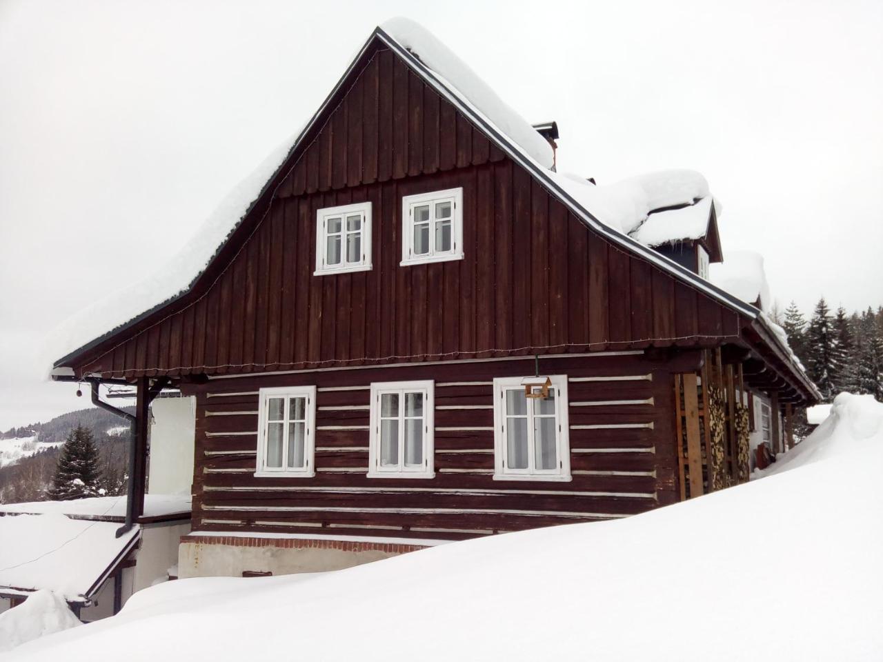 Apartamento Frantiskov 17 Rokytnice nad Jizerou Exterior foto